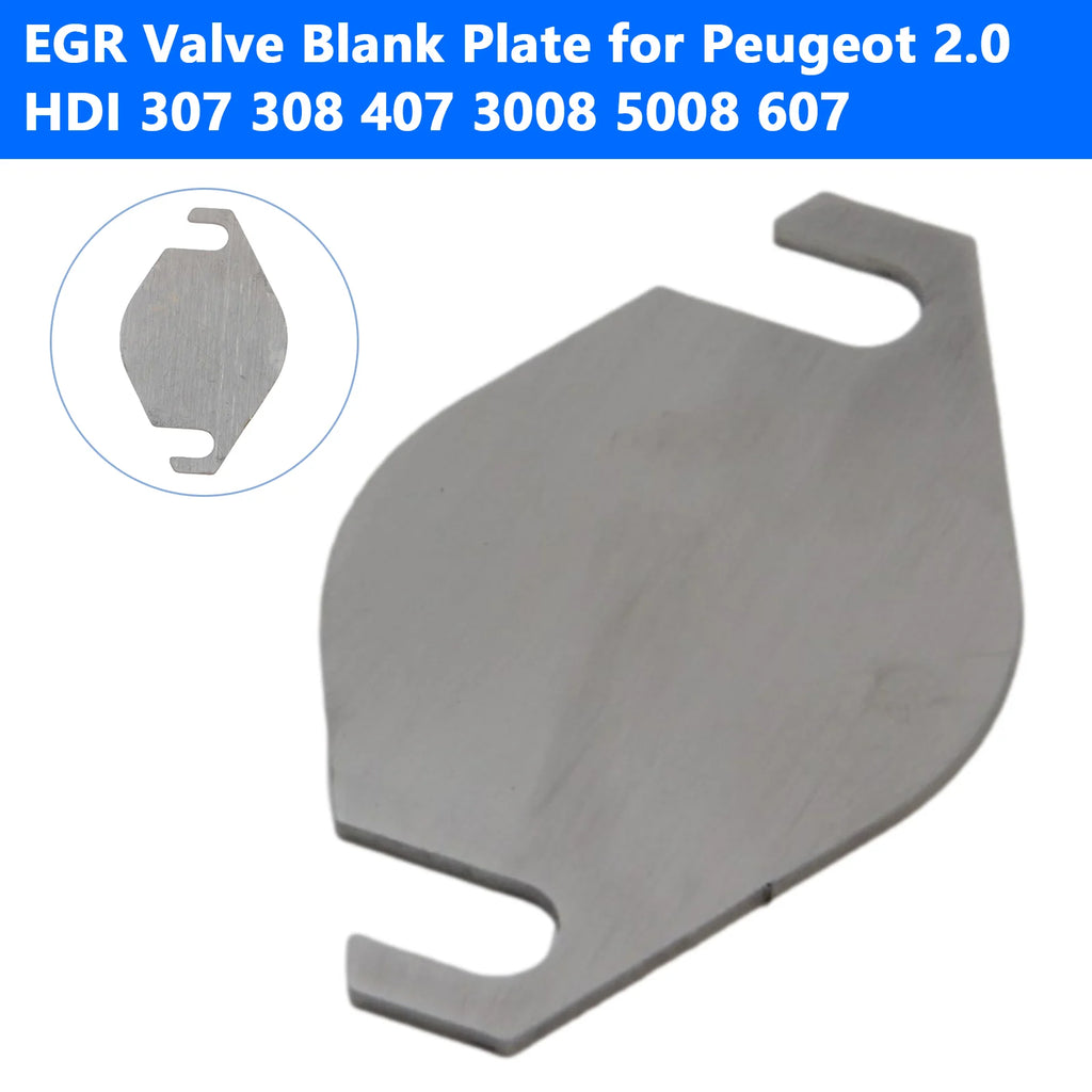 Egr Blanking Plate for Peugeot 2.0 HDI 307 308 407 3008 5008 607 Citroen C3, C4, C5