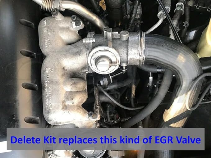 Suppression de vanne EGR pour VW Touareg R5 2,5l TDI