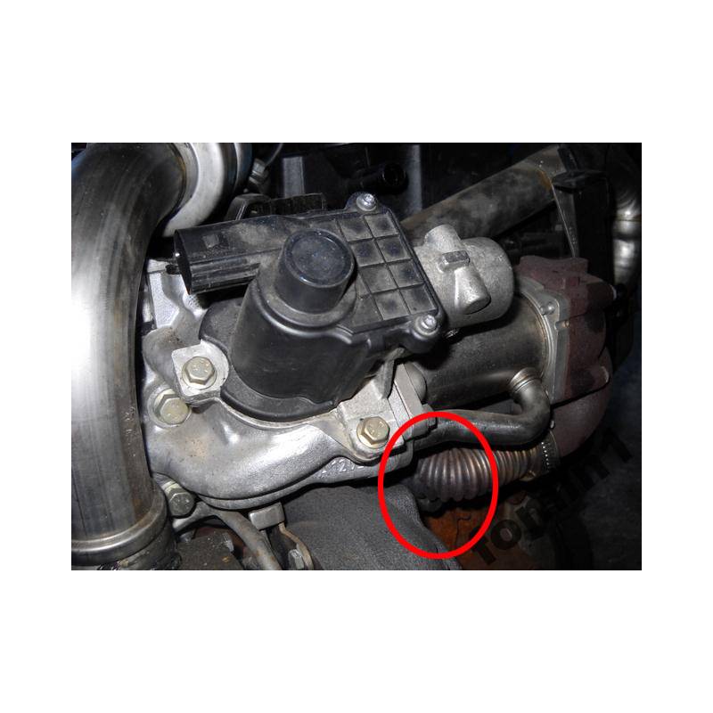 Plaque de suppression vanne EGR 1.5 Dci K9K