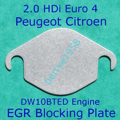 Egr Blanking Plate for Peugeot 2.0 HDI 307 308 407 3008 5008 607 Citroen C3, C4, C5